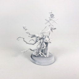 Grey Seer