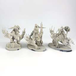 Chevaliers de Morbheg