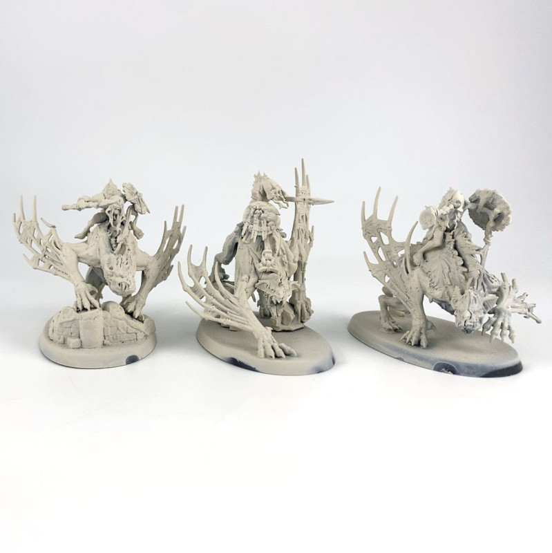 Chevaliers de Morbheg