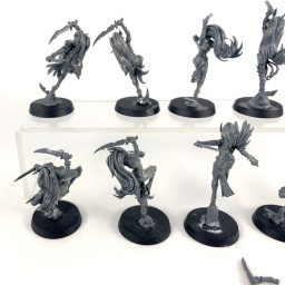 Witch Aelves (excès de colle)