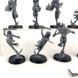 Witch Aelves (excess glue)