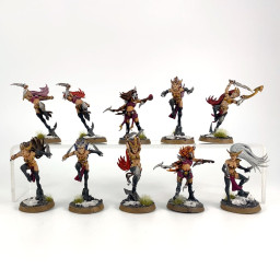 Witch Aelves