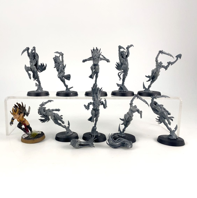 Witch Aelves (excès de colle)