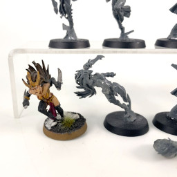 Witch Aelves (excès de colle)