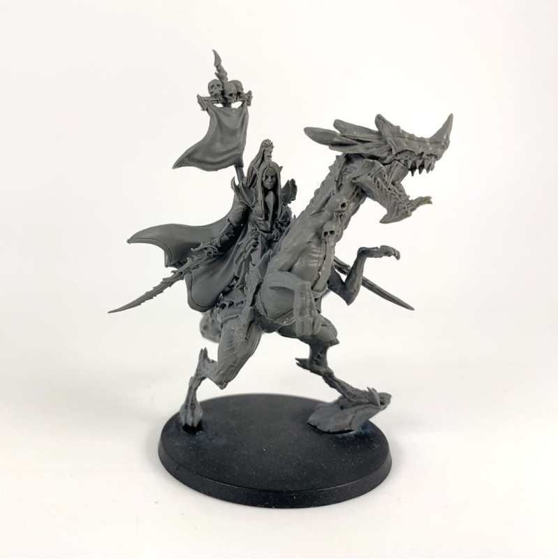 Raging Heroes Varanith Captain of the Draahk Riders