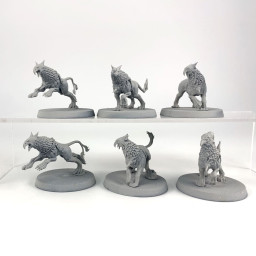 Gryph-hounds