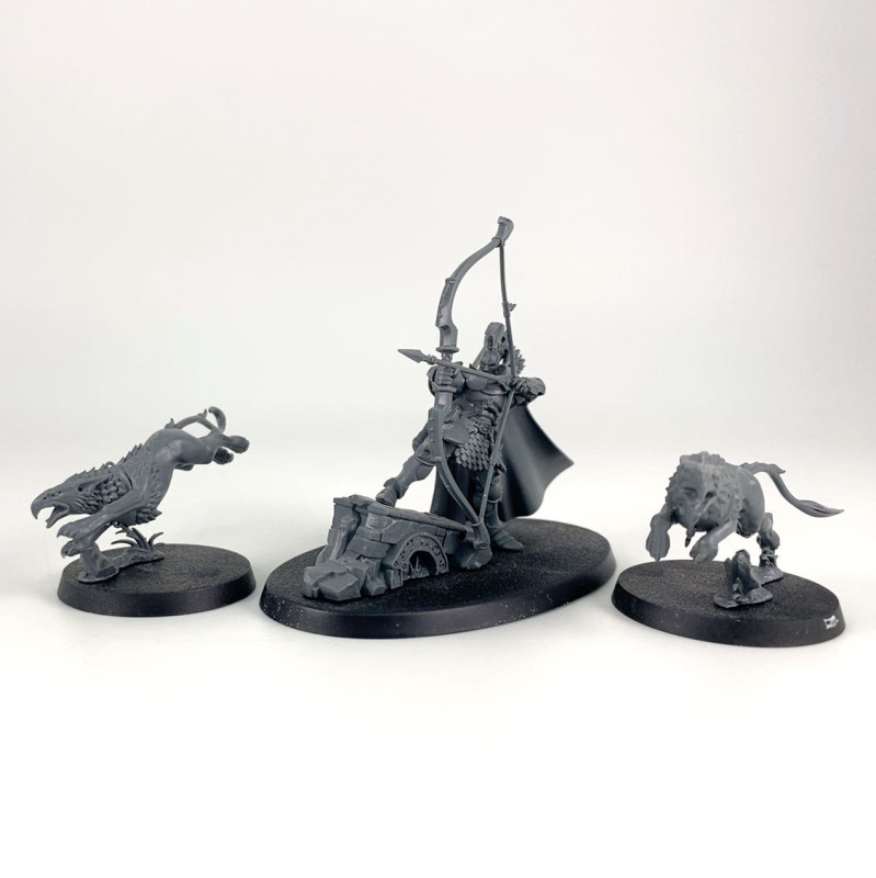 Chevalier-Judicator avec Gryph-dogues