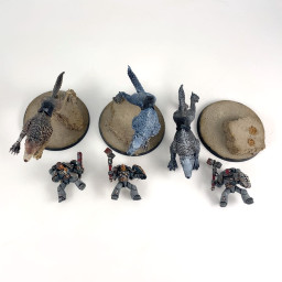 Thunderwolf Cavalry