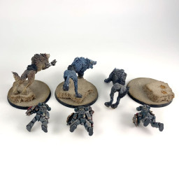 Cavalerie sur Loups Tonnerre