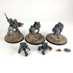 Thunderwolf Cavalry
