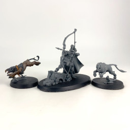 Chevalier-Judicator avec...