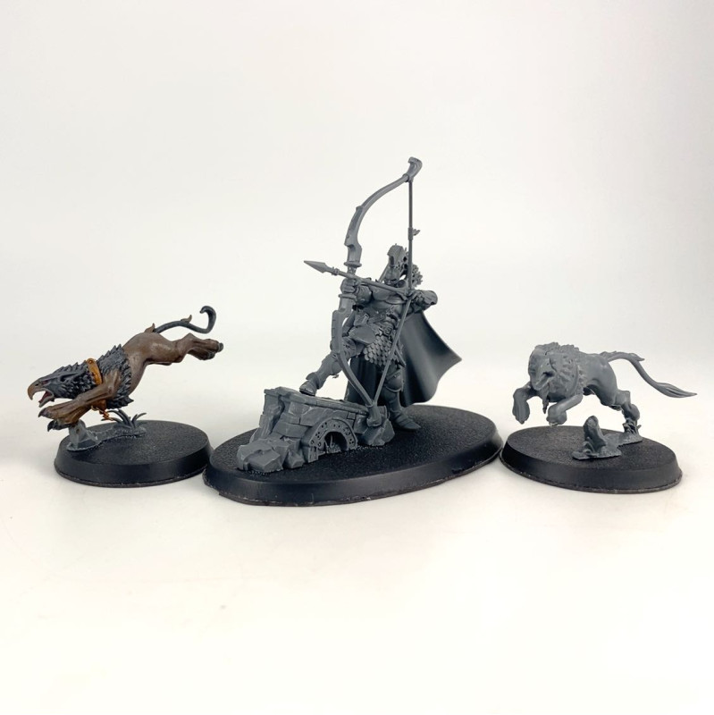 Chevalier-Judicator avec Gryph-dogues