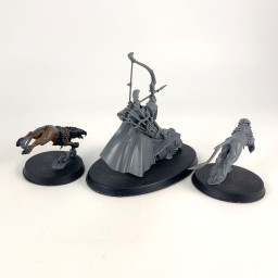 Knight-Judicator with Gryph Hounds