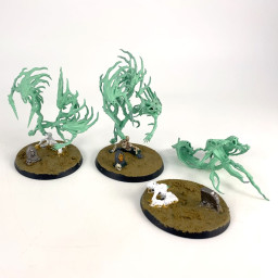 Spirit Hosts