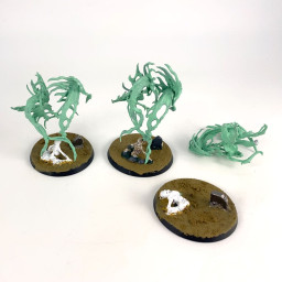 Spirit Hosts