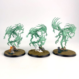 Spirit Hosts