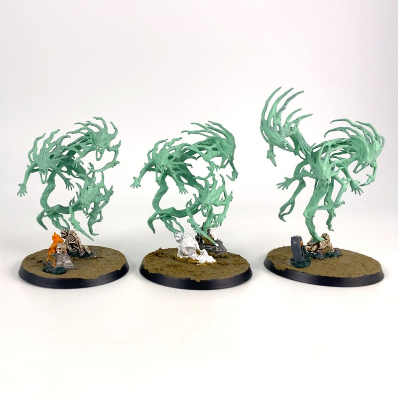 Spirit Hosts