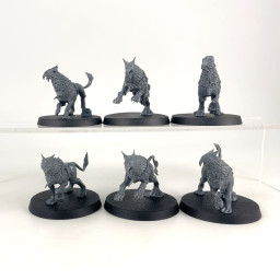 Gryph-hounds