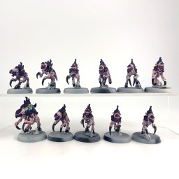 Neurogaunt