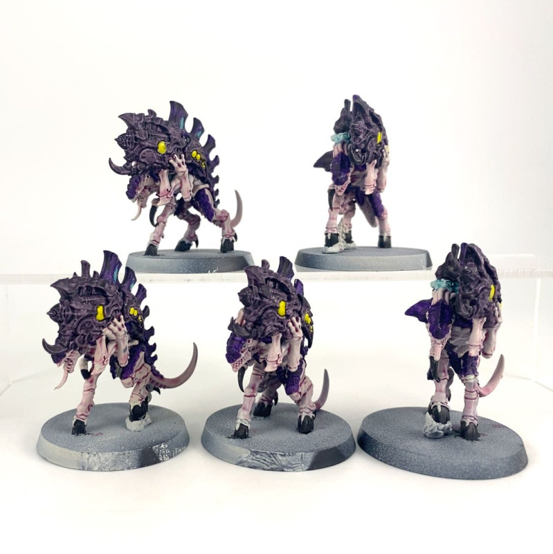 Barbgaunts
