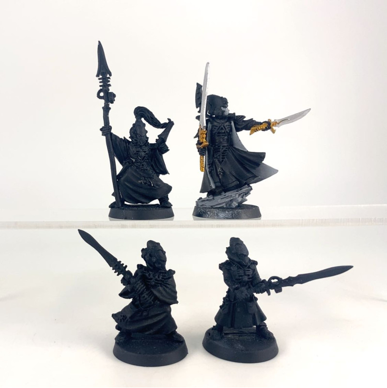 Farseer And Warlock Bodyguard
