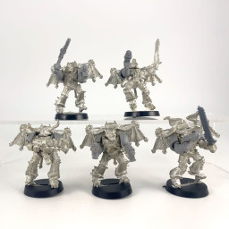 Rapaces