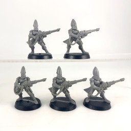 Gardiens