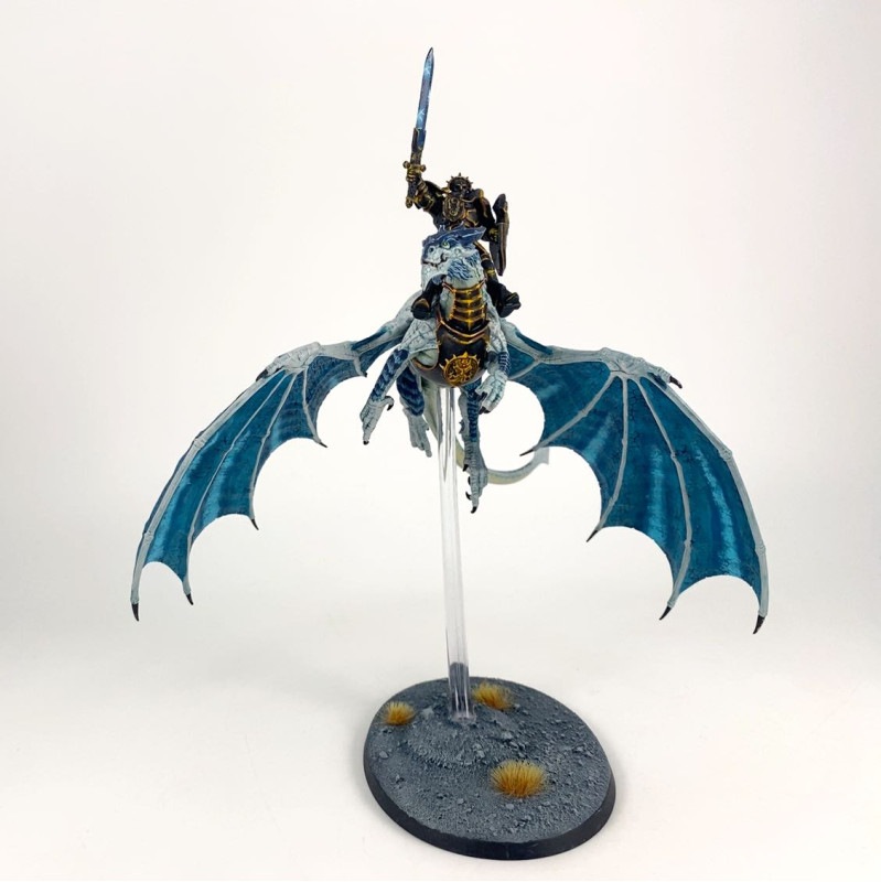 Stormdrake Guard