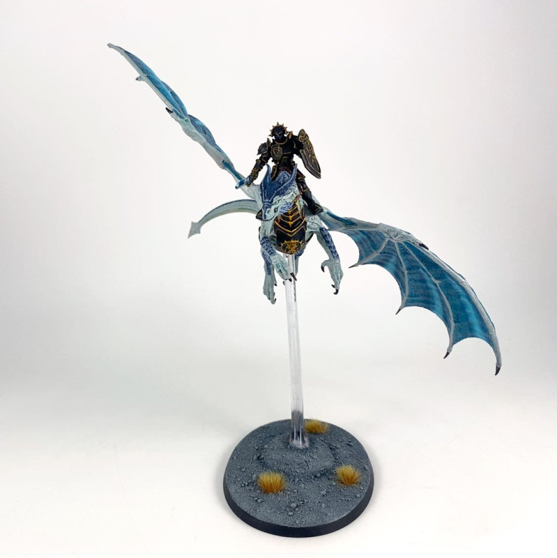 Stormdrake Guard