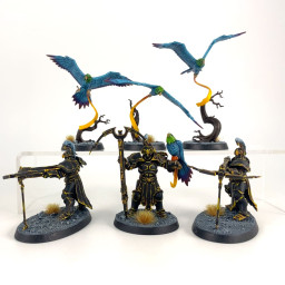 Vanguard Raptors