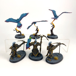 Vanguard Raptors