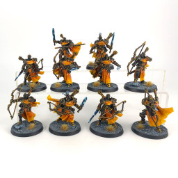 Vigilors