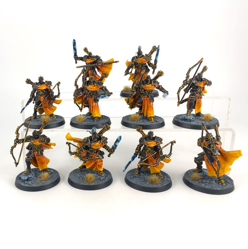 Vigilors