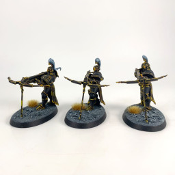 Vanguard Raptors incomplet