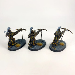 Vanguard Raptors incomplet