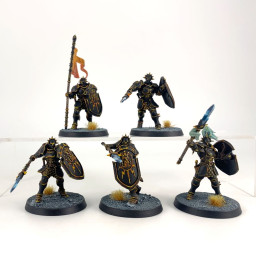 Vindictors