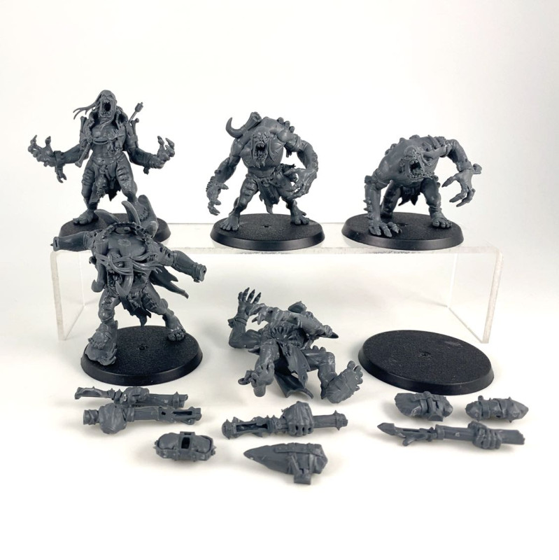 Warcry: Gorger Mawpack