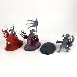 Morbheg knights