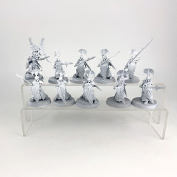 Vanari Wardens