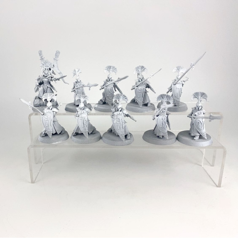 Vanari Wardens