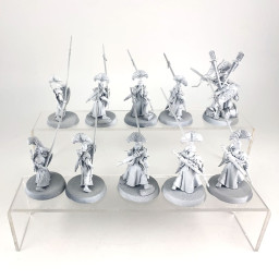 Vanari Auralan Wardens
