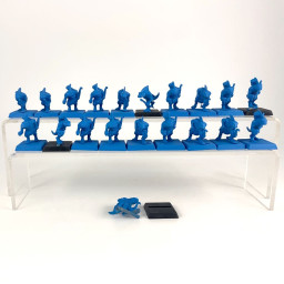 skinks