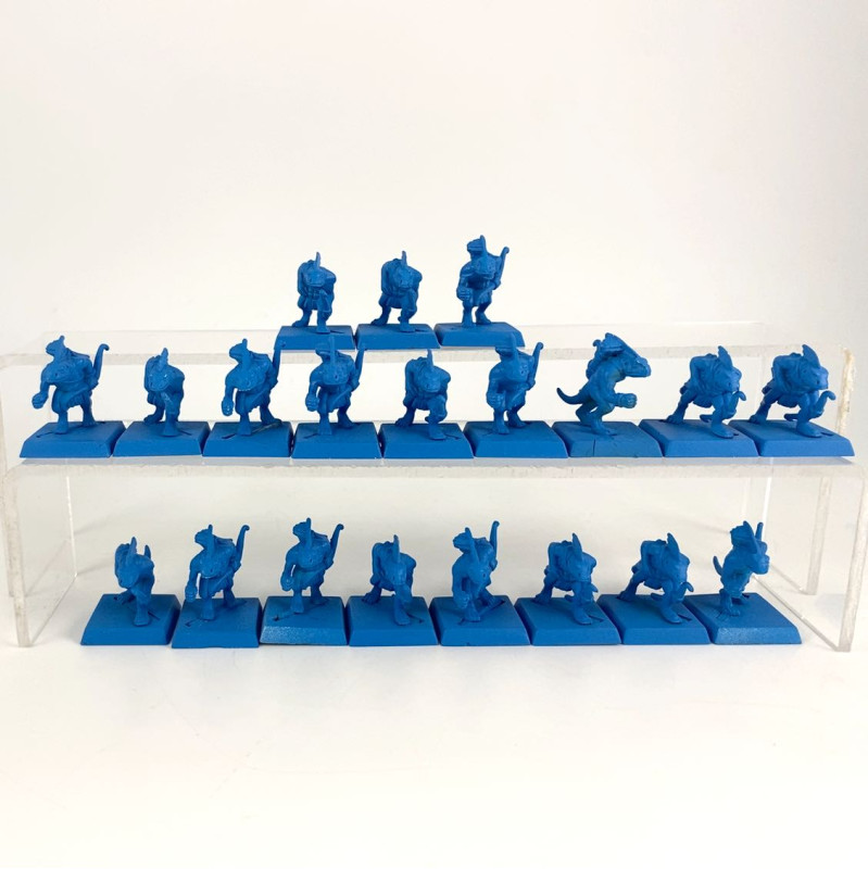 skinks