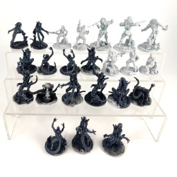 AVP The hunt begins 2nd edition ENG