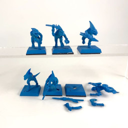 skinks