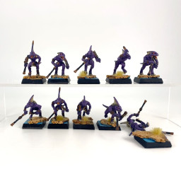 skinks
