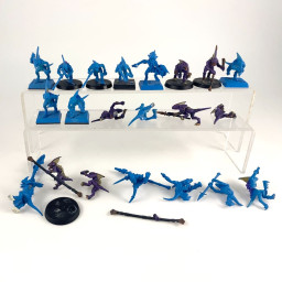 skinks incomplet