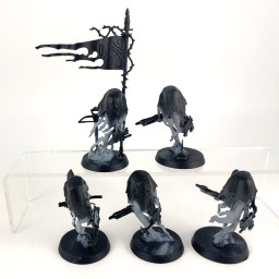 Craventhrone guards