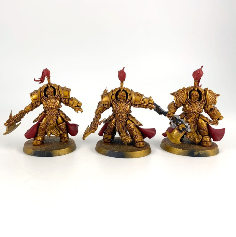 Shield-Captain in Allarus Terminator Armour