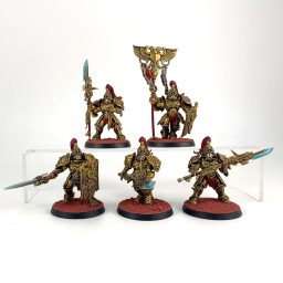 Custodian guards